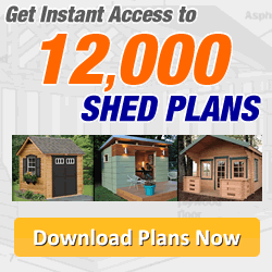 Example Shed Design 2